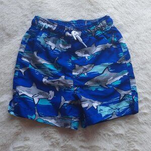 Shark Swim Trunks